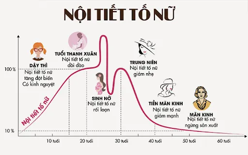 Khi thấy có dấu hiệu rối loạn nội tiết tố chị em cần lưu ý đến nguy cơ vô sinh ở nữ giới